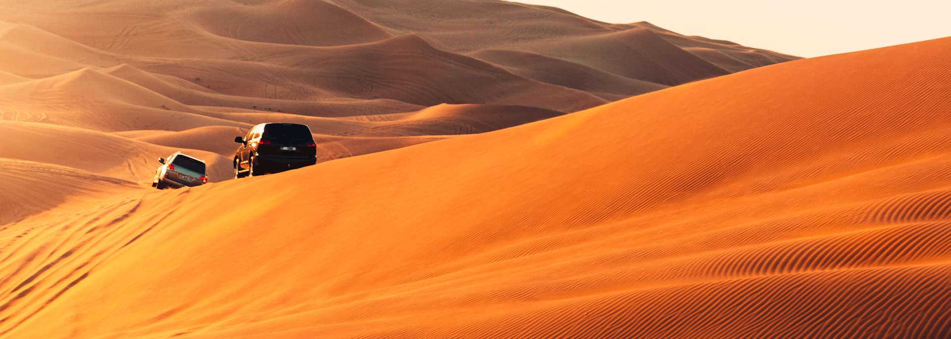 Middle Eastern Desert